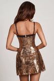 Embellished Corset A line Mini Dress in Black Gold Foil