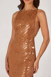 Embellished Maxi Dress in Bronze