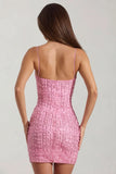 Embellished Scoop Neck Bodycon Mini Dress in Pink