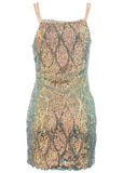 Opulent Sequin Mini Dress Champagne Multi