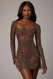 Sheer Embellished Long Sleeve A Line Mini Dress in Deep Cocoa
