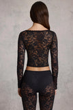 Sheer Lace Plunge Neck Long Sleeve Top in Black