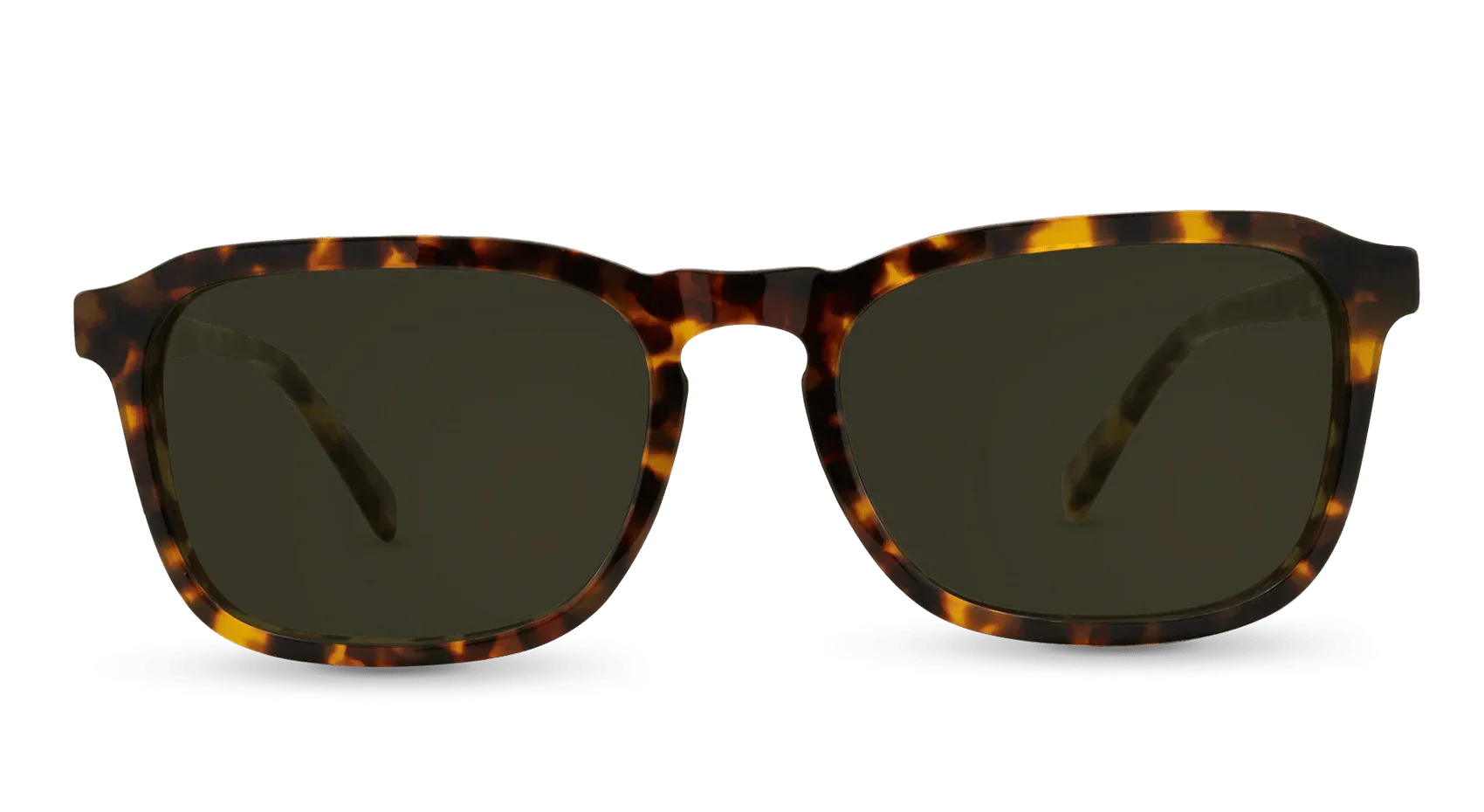 Hawksbill Sunglasses