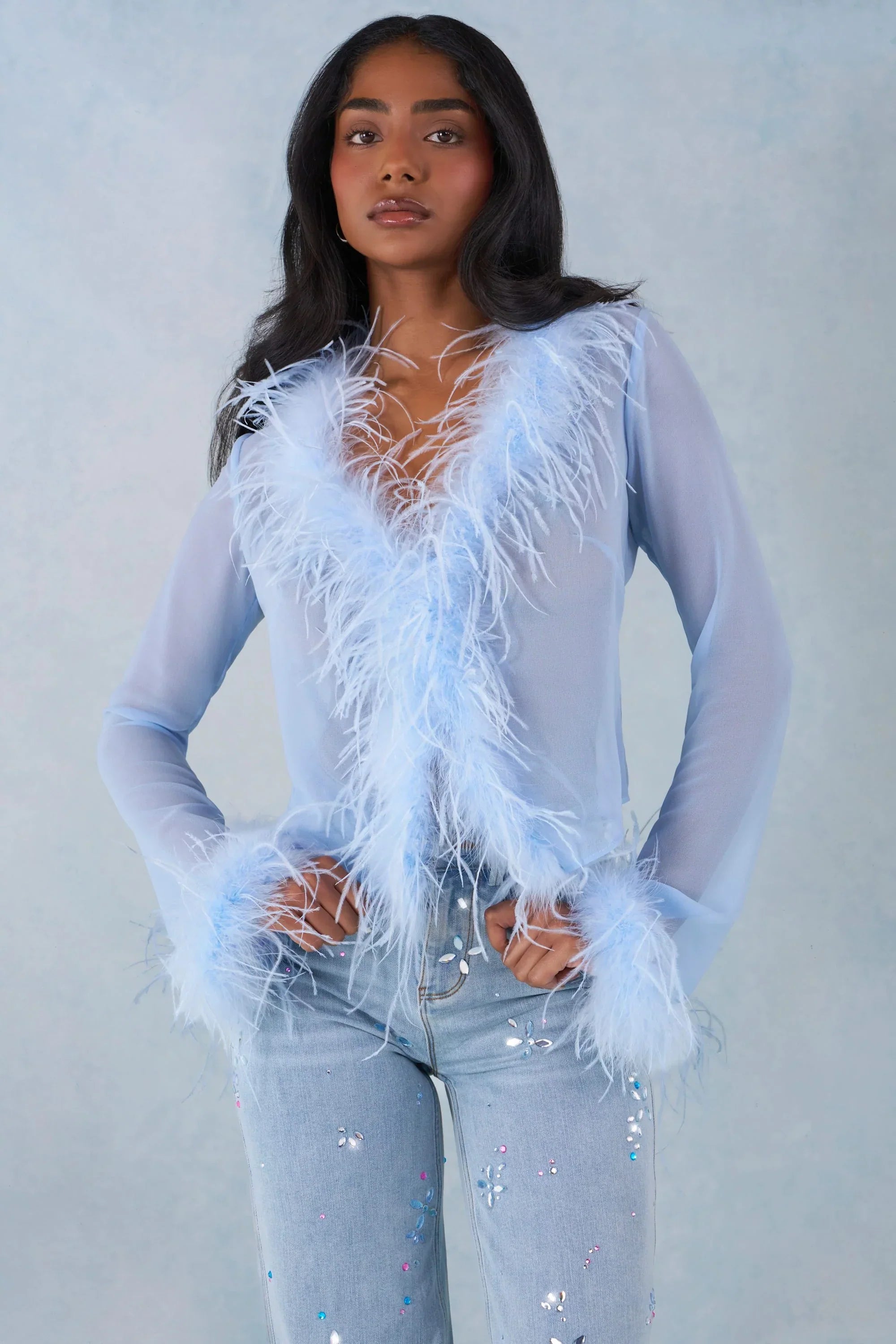 Feather Trim Sheer Top in Soft Blue