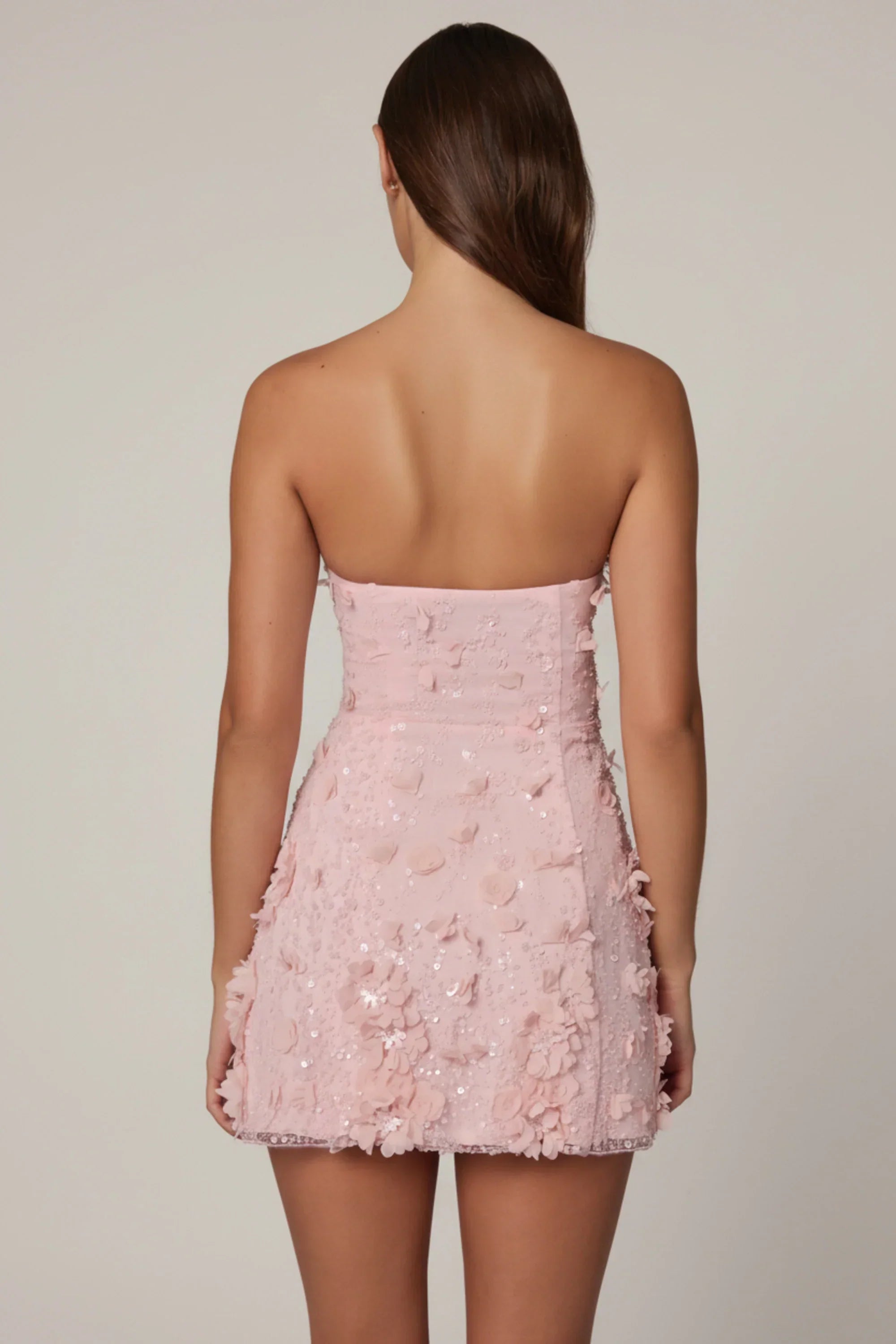 Embellished Bandeau A line Mini Dress in Ballet Pink