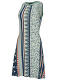 Printed Fit And Flare Dress Americana Floral Star