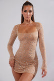 Sheer Embellished Long Sleeve A Line Mini Dress in Almond