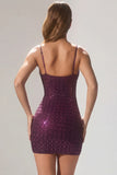 Embellished Plunge Semi Sheer Mini Dress in Deep Purple