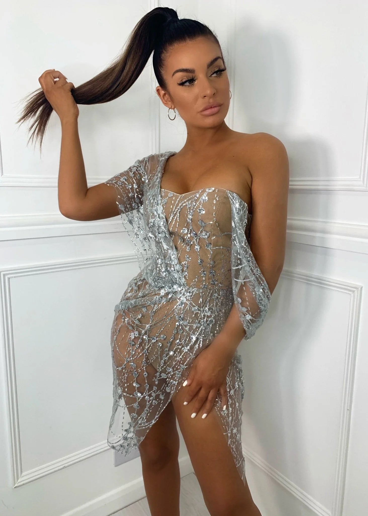 Sparkle Delight Glitter Mesh Dress Silver