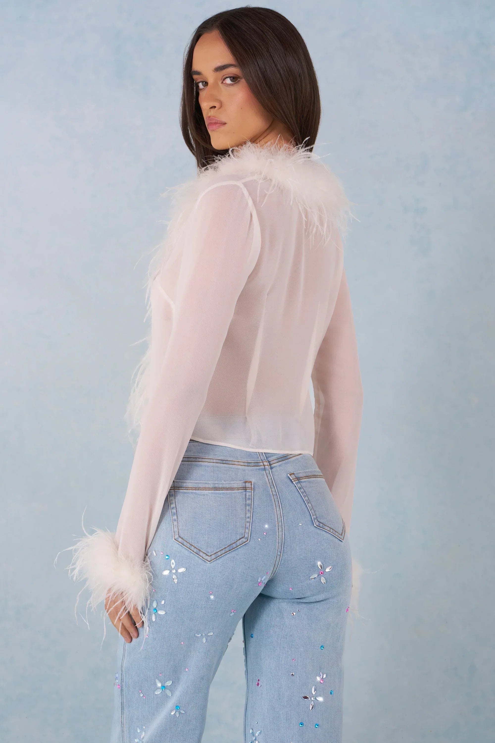 Feather Trim Sheer Top in Ivory