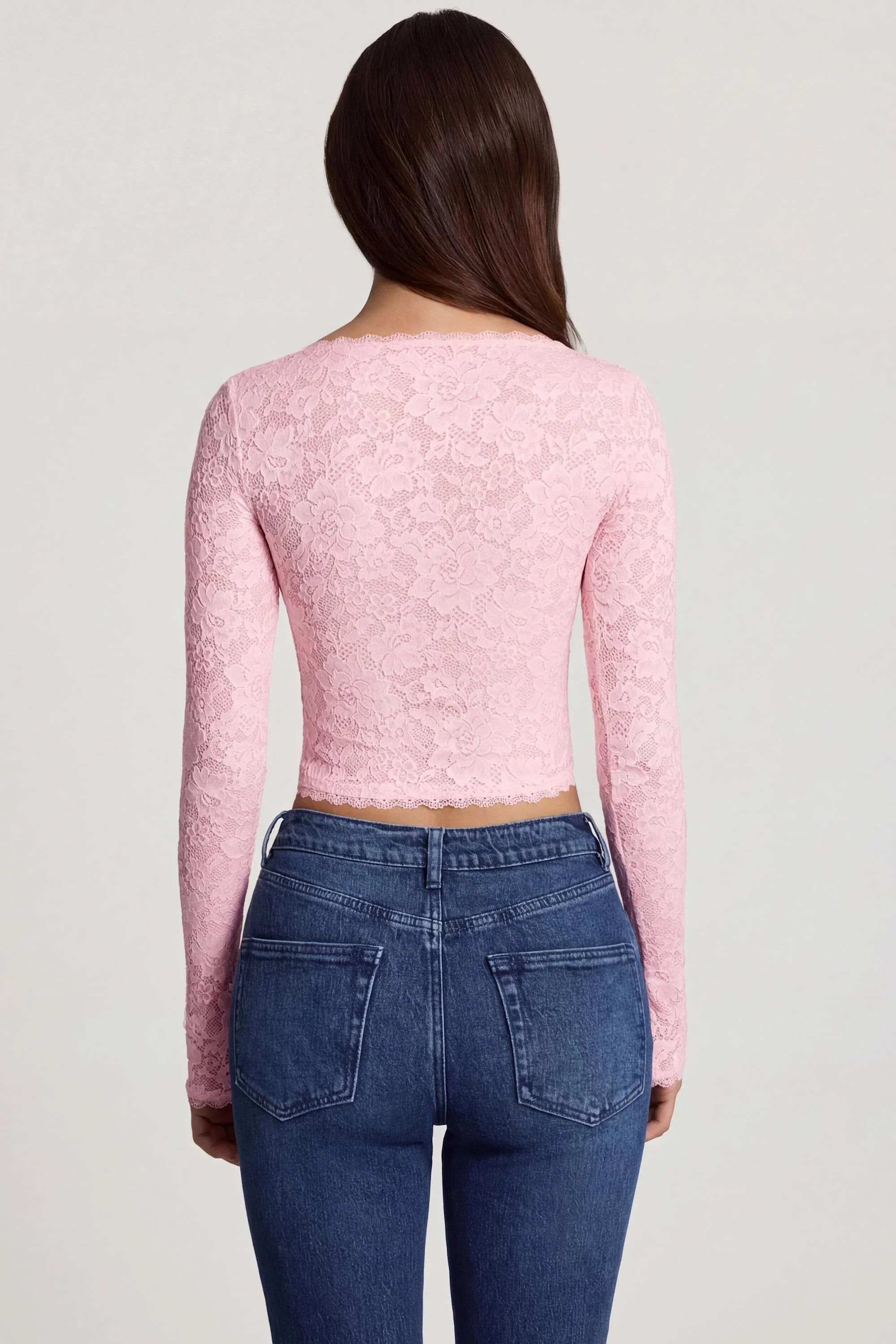Sheer Lace Plunge Neck Long Sleeve Top in Pink