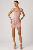 Embellished Appliqué Corset Mini Dress in Dusty Rose