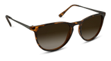 Shockoe Sunglasses