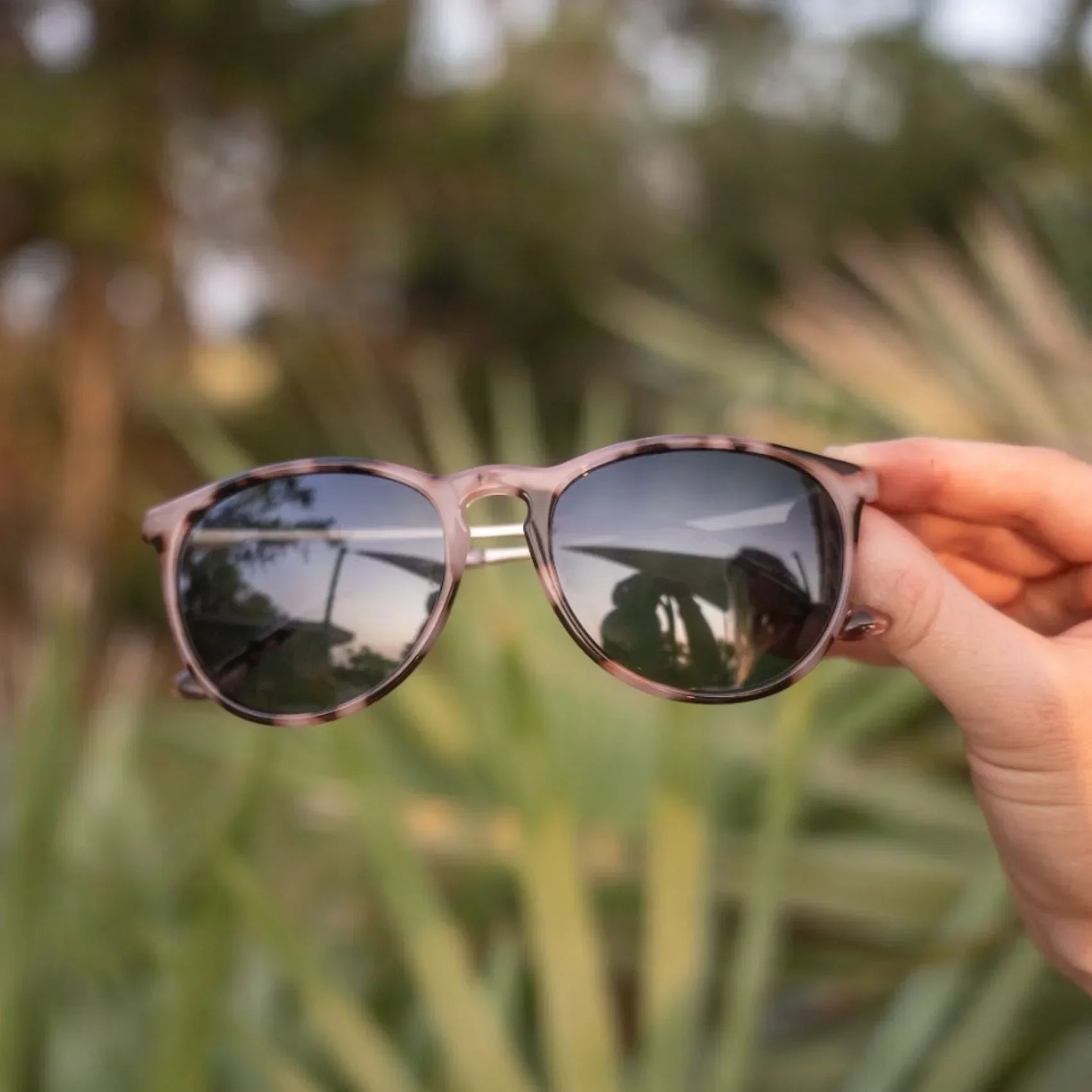 Shockoe Sunglasses