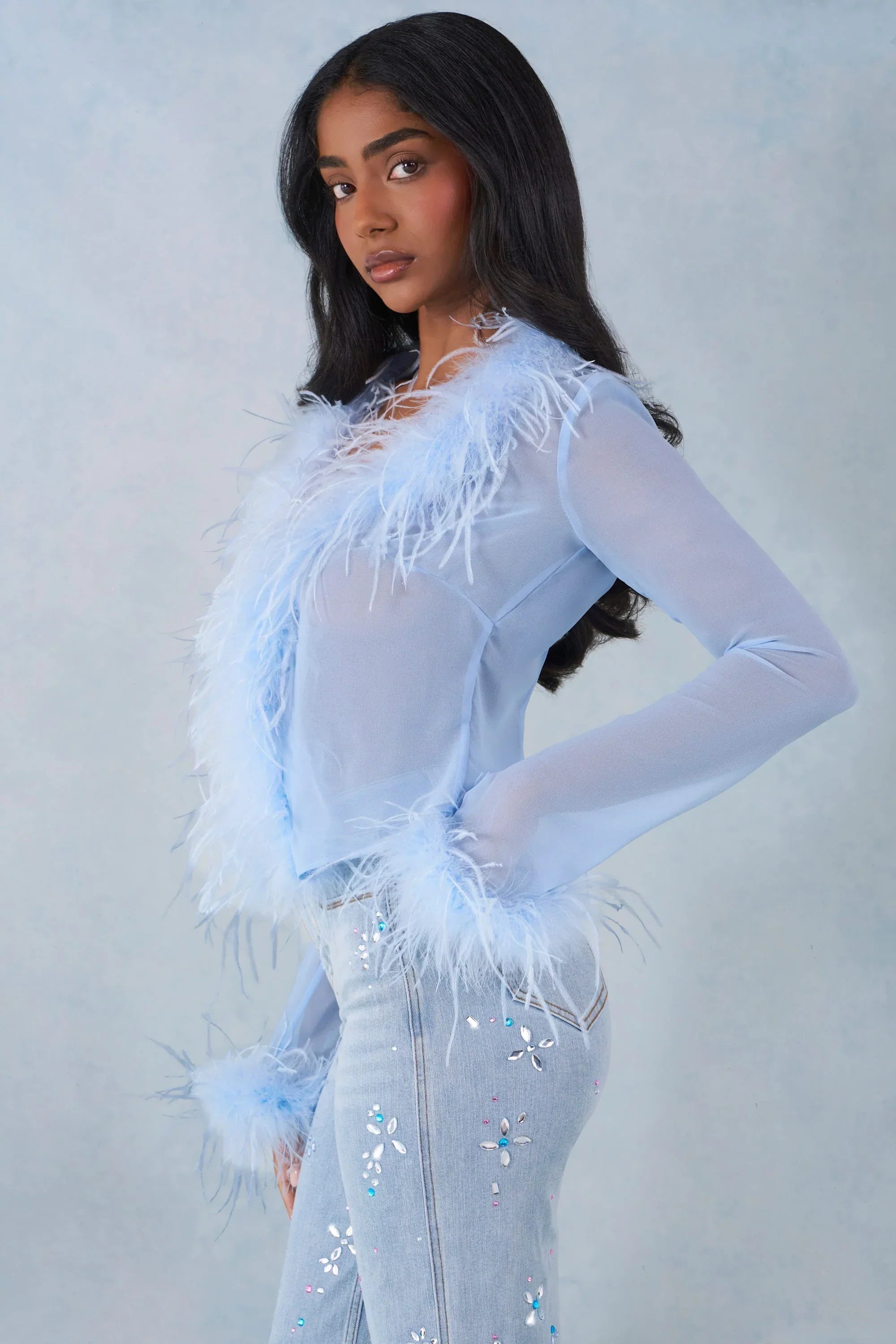 Feather Trim Sheer Top in Soft Blue