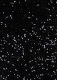 Whispered Promise Sequin Two Piece Black