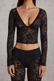 Sheer Lace Plunge Neck Long Sleeve Top in Black