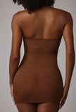 Soft Sheer Mesh Bandeau Mini Slip Dress in Mocha