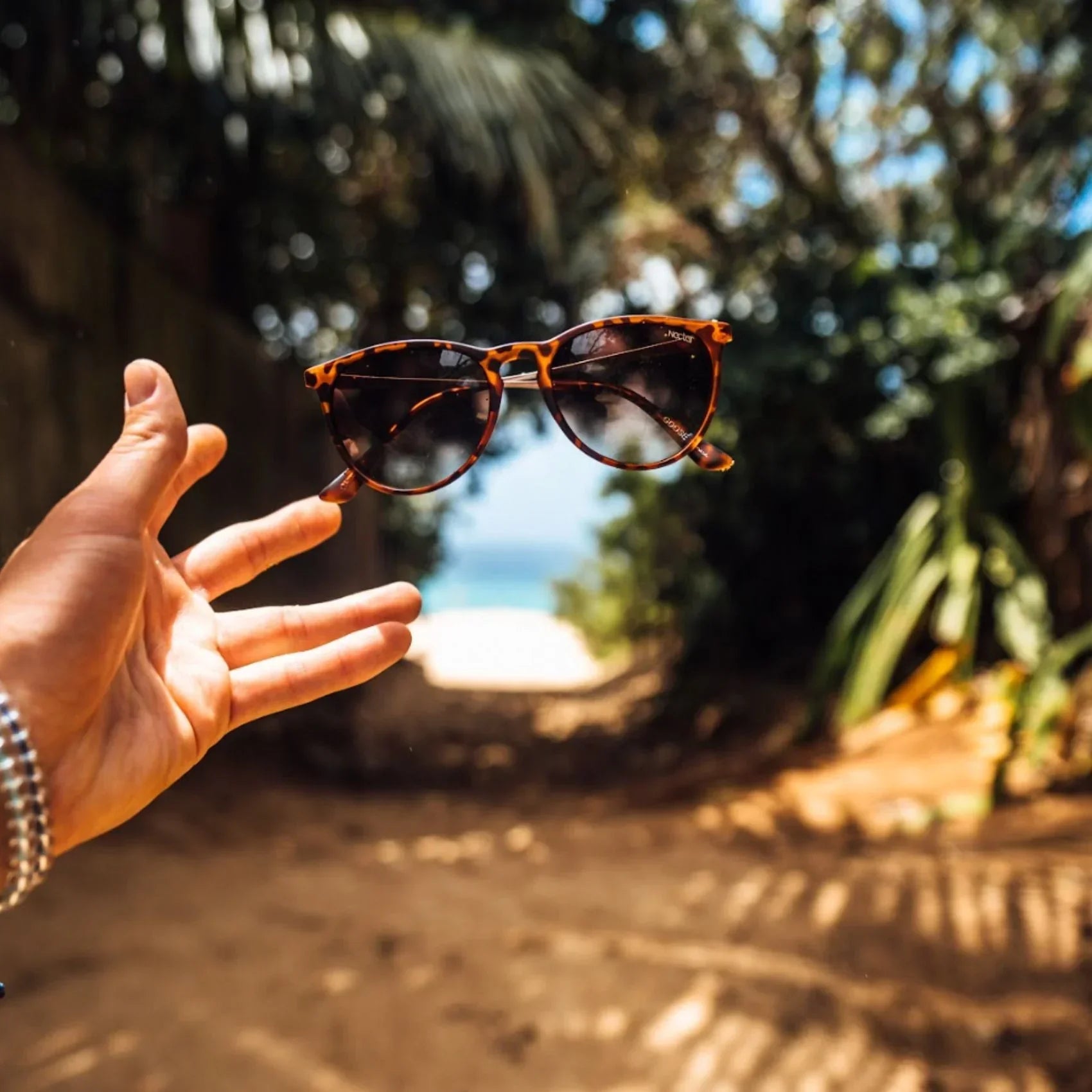 Shockoe Sunglasses