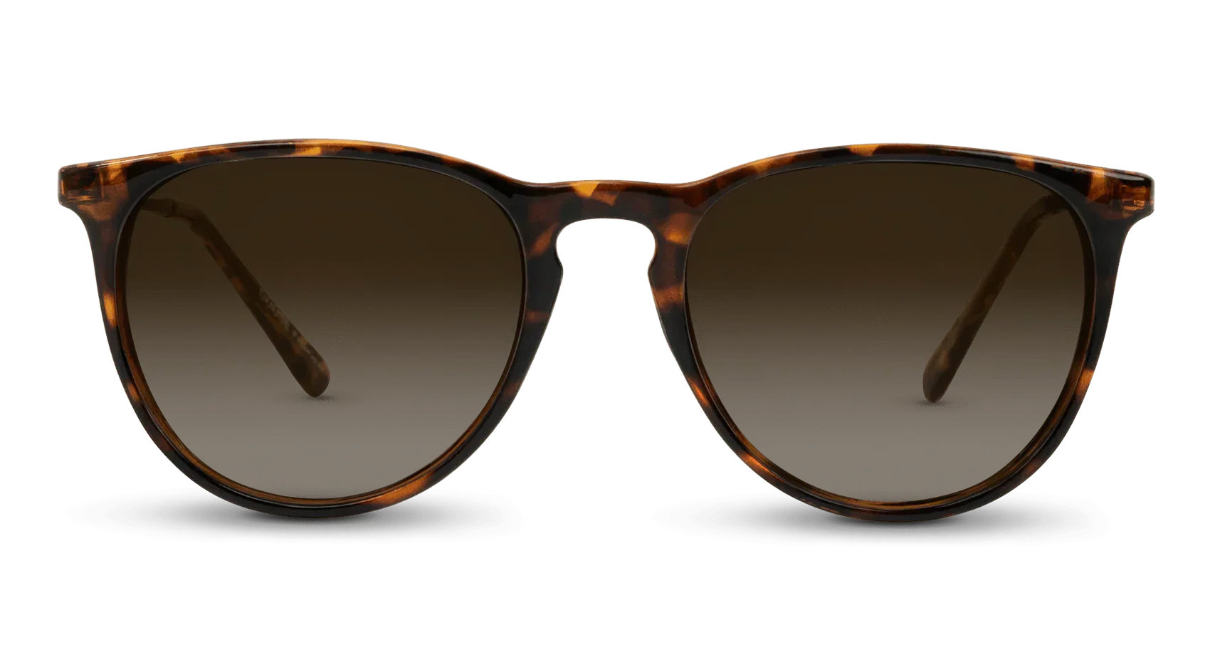 Shockoe Sunglasses