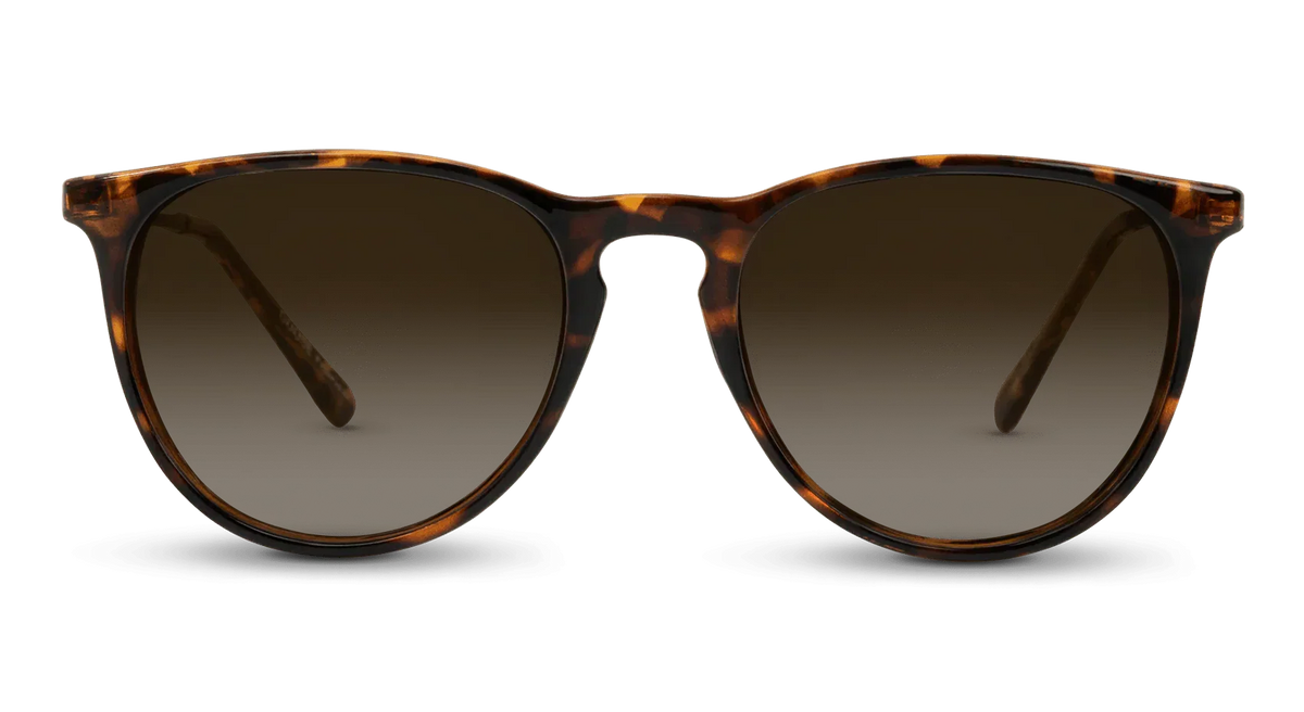 Shockoe Sunglasses