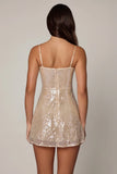 Embellished V neck Lace Mini Dress in Pale Peach