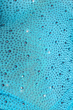 Embellished One Shoulder Mini Dress in Aqua Blue