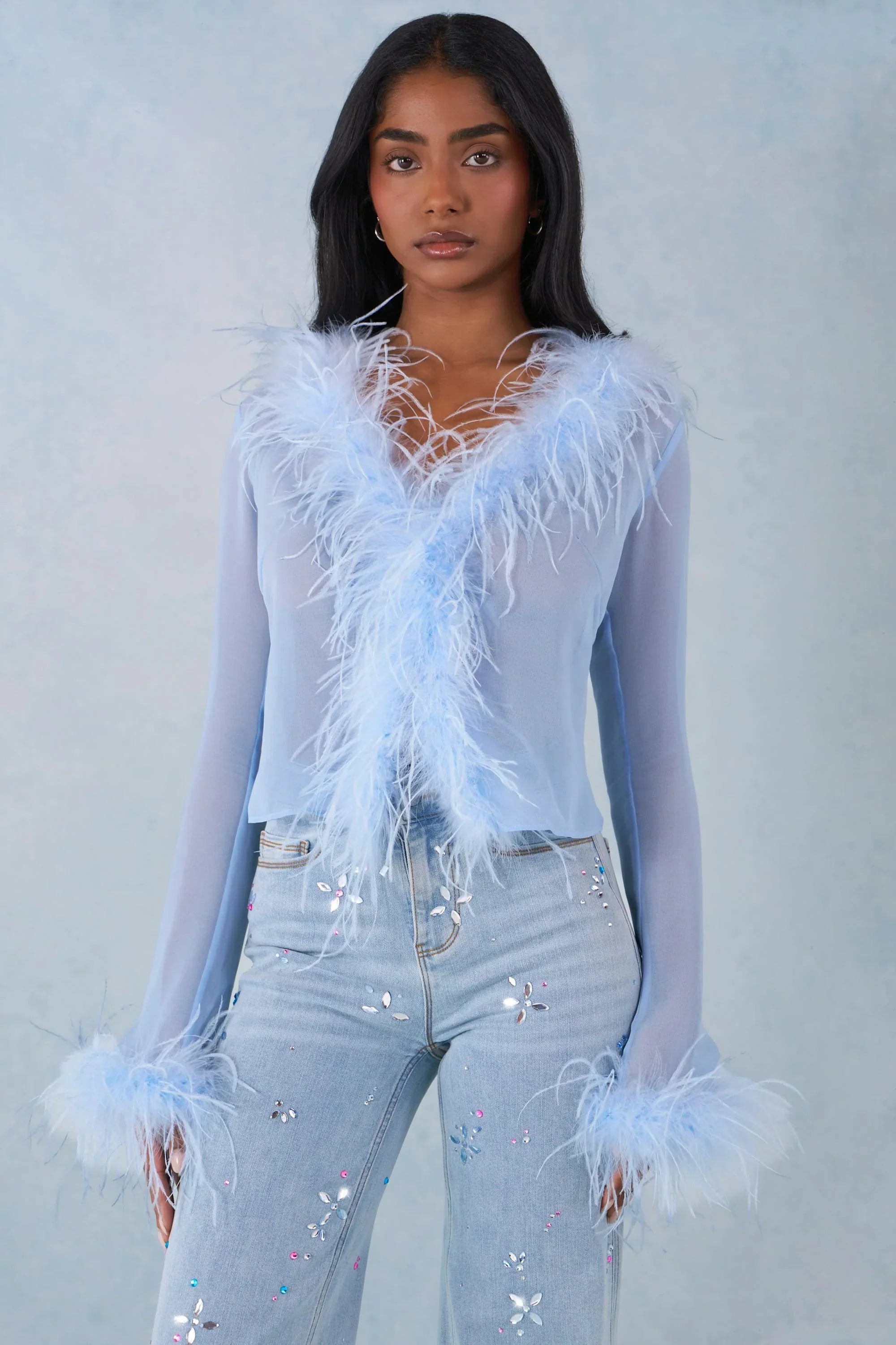 Feather Trim Sheer Top in Soft Blue