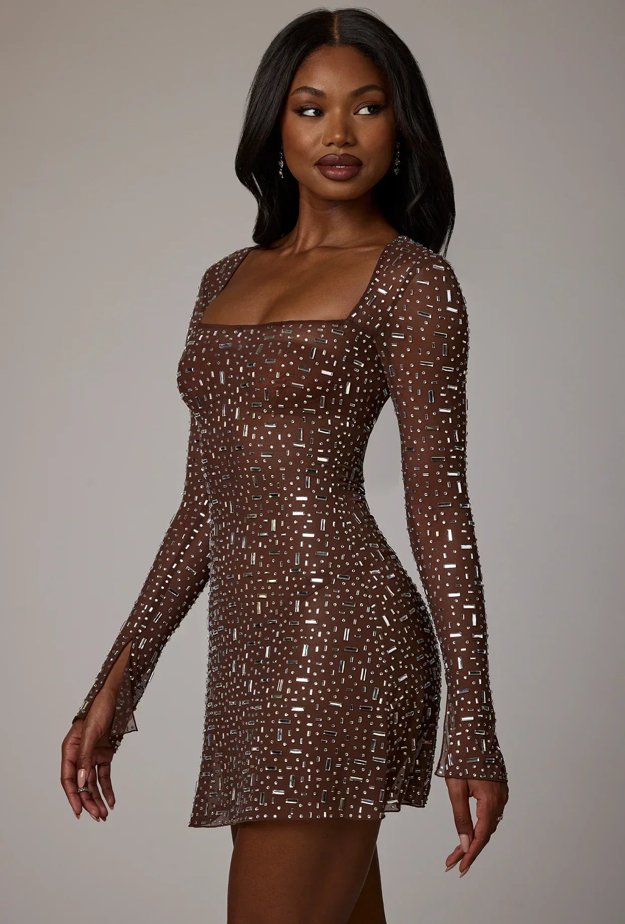 Sheer Embellished Long Sleeve A Line Mini Dress in Deep Cocoa